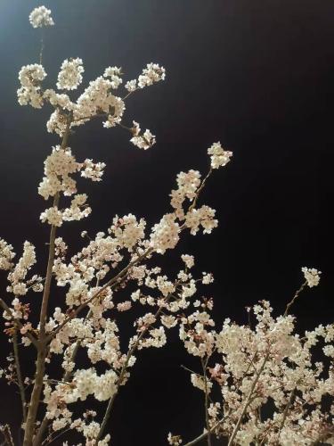 微信图片_20220407123353