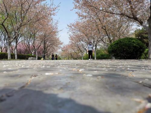 微信图片_20220418075009