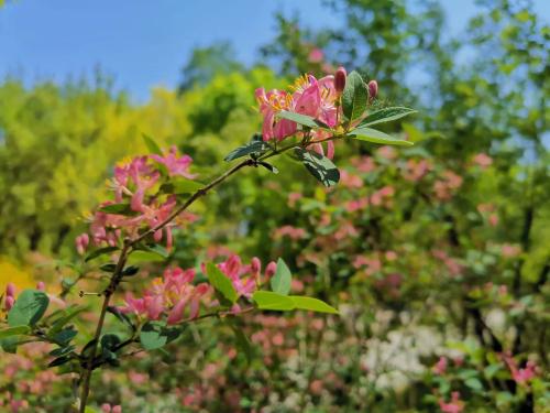 微信图片_20220418075024