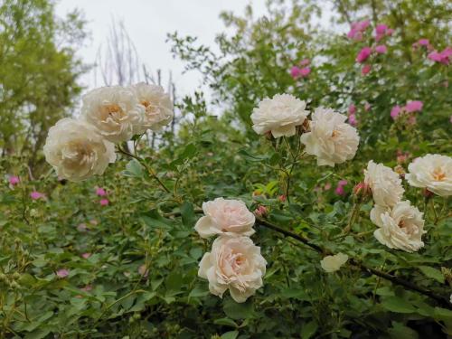 微信图片_20220512145909