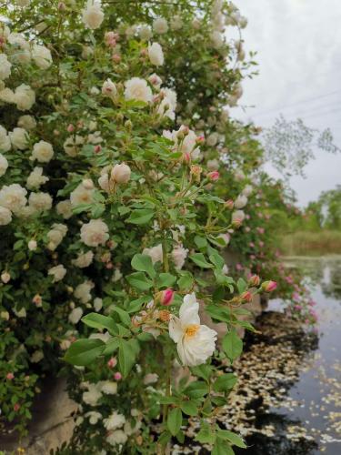 微信图片_20220512145912