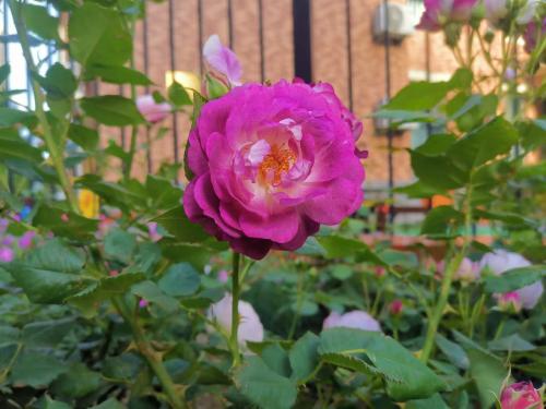 微信图片_20220520075930