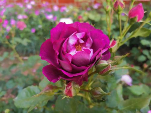 微信图片_20220520075946