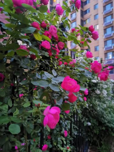 微信图片_20220530070943