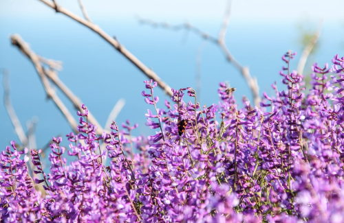 微信图片_20220610191405