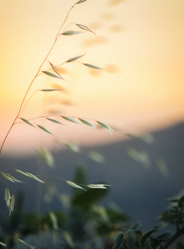 微信图片_20220617135824