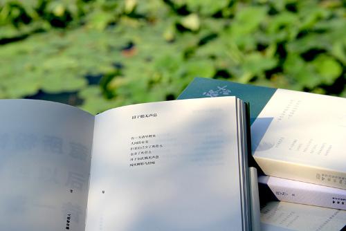 36ef7b4347bf4b9d8a6ab76625230160