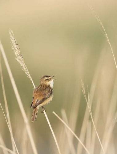 微信图片_20220624092840