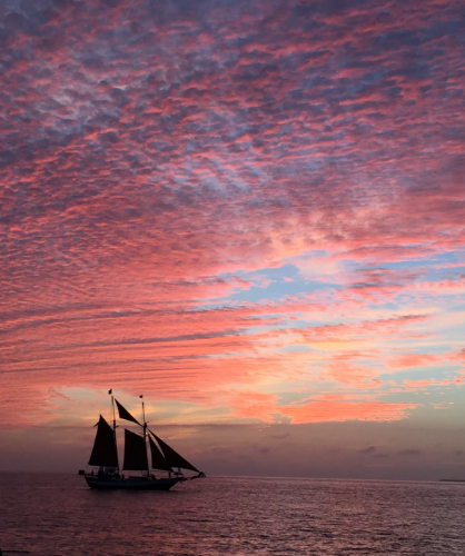 微信图片_20220715093644