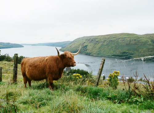 微信图片_20220722090951