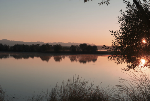 微信图片_20220805143139