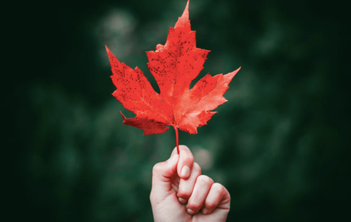 微信图片_20220812150131