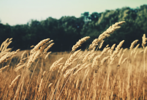 微信图片_20220812150043