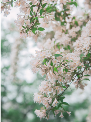 微信图片_20220819090339