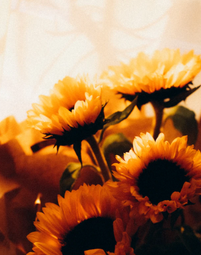 微信图片_20220902102240