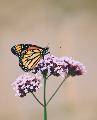 微信图片_20220916091508