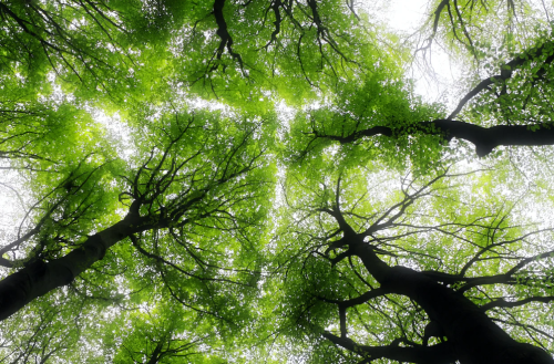 微信图片_20220930141035