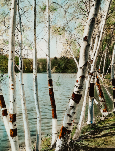 微信图片_20220930141000