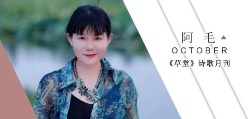 3d34a01366456857e516234ecbc6f3c