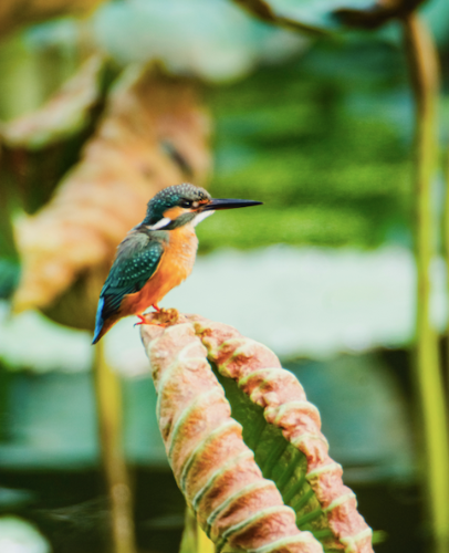 微信图片_20221104085912