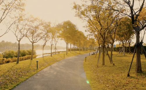 微信图片_20221118113704