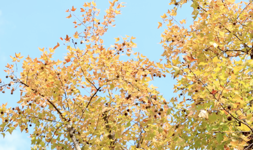 微信图片_20221118113719