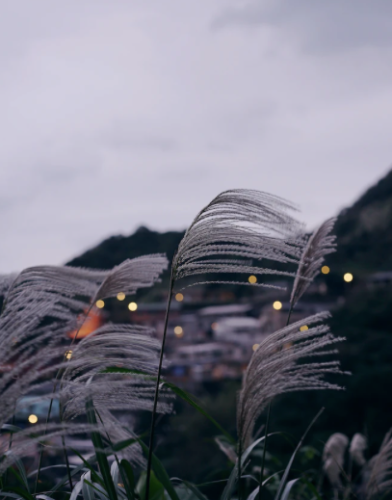 微信图片_20221202092557