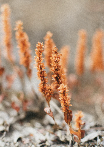 微信图片_20221209122124