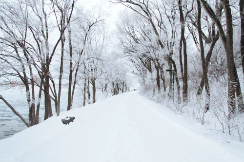 微信图片_20221217100946