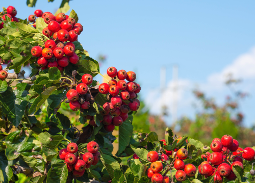 微信图片_20230109103021