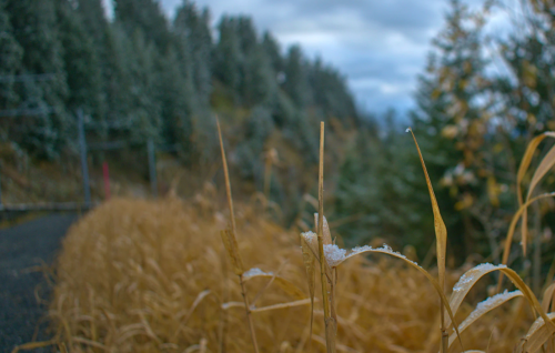 微信图片_20230213100700