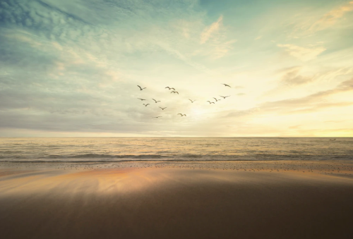 微信图片_20230306092742