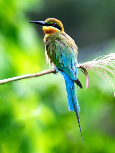 微信图片_20230313131157