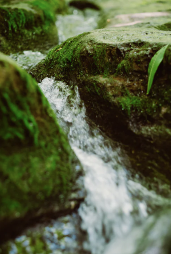 微信图片_20230313131222