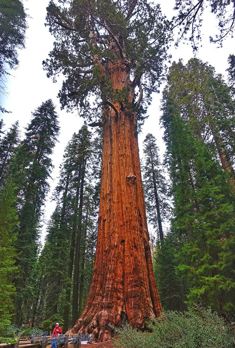 c5dd99fbcbd646fda3168420bcf24a0f_th c5dd99fbcbd646fda3168420bcf24a0f_th