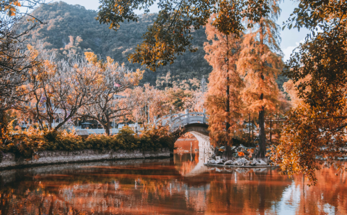 微信图片_20230410093434