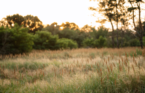 微信图片_20230417123036