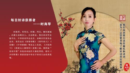 时海琴01