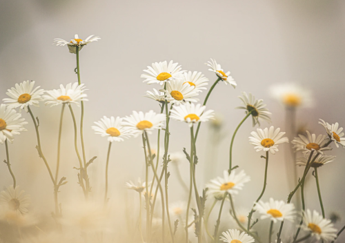 微信图片_20230424085632