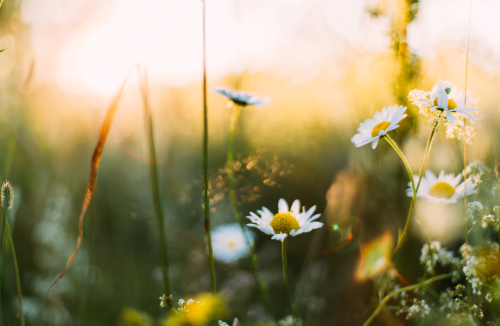 微信图片_20230508094414