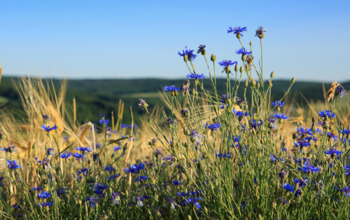 微信图片_20230515101211