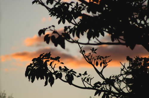 微信图片_20230612110450