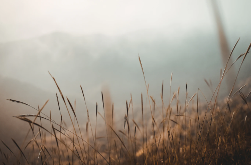 微信图片_20230626095505