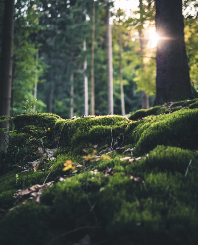 微信图片_20230703134052