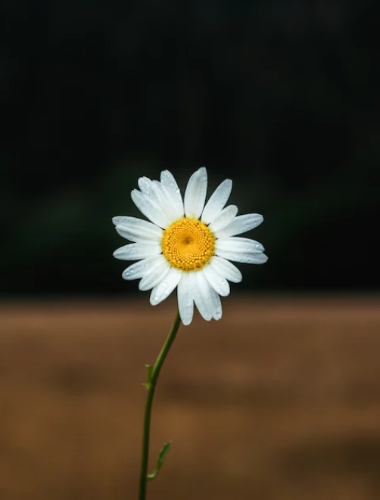 微信图片_20230717094320