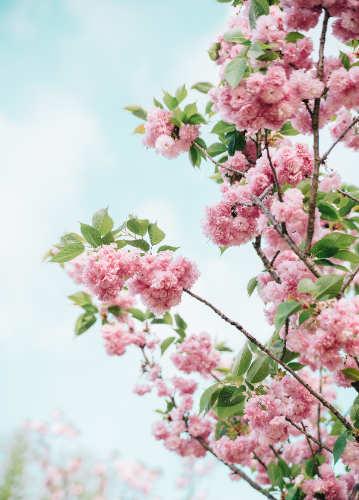 微信图片_20230802110345