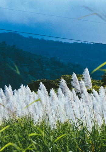 微信图片_20230807094205