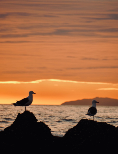 微信图片_20230904091848