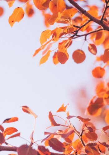 微信图片_20230925101240