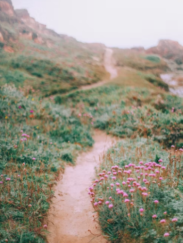 微信图片_20231009093349